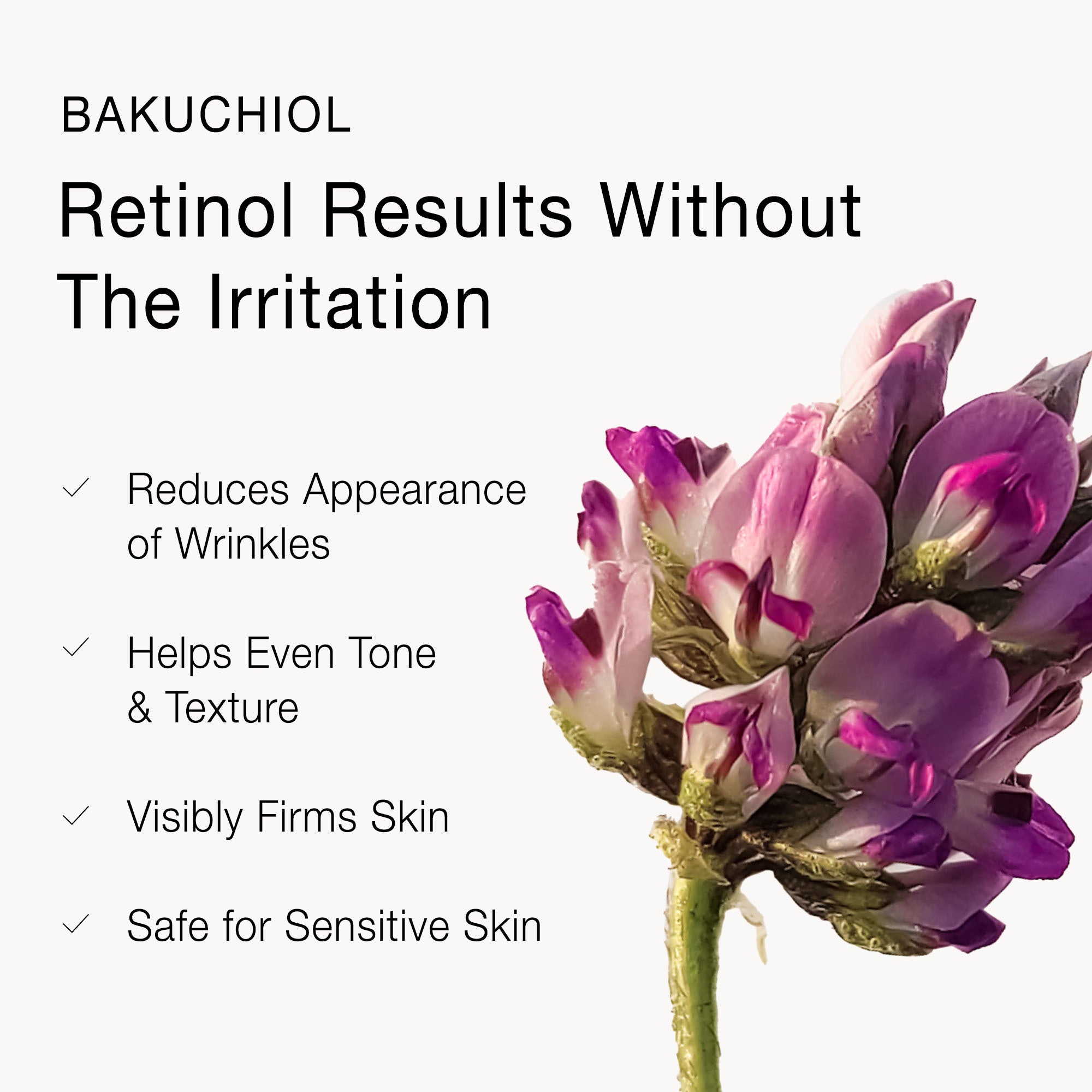 Olivia Quido Skincare Beauty Oil Ingredient Highlight Bakuchiol