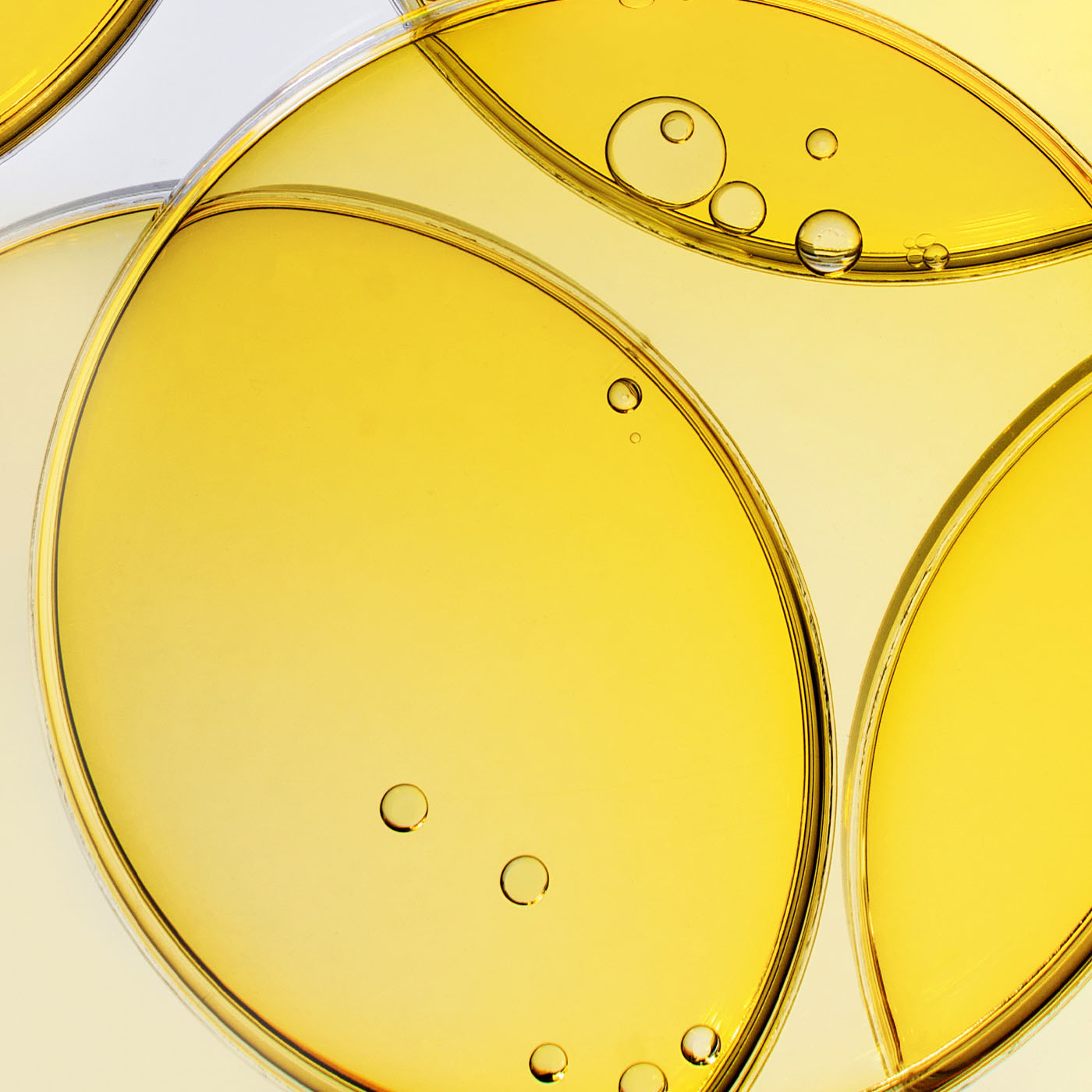 Olivia Quido Skincare Beauty Oil Key Ingredients Marula Oil