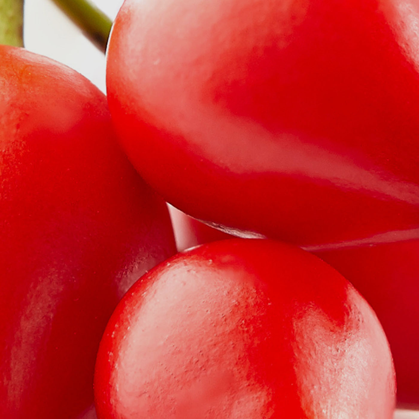 Olivia Quido Skincare Beauty Oil Key Ingredients Rosehip Oil