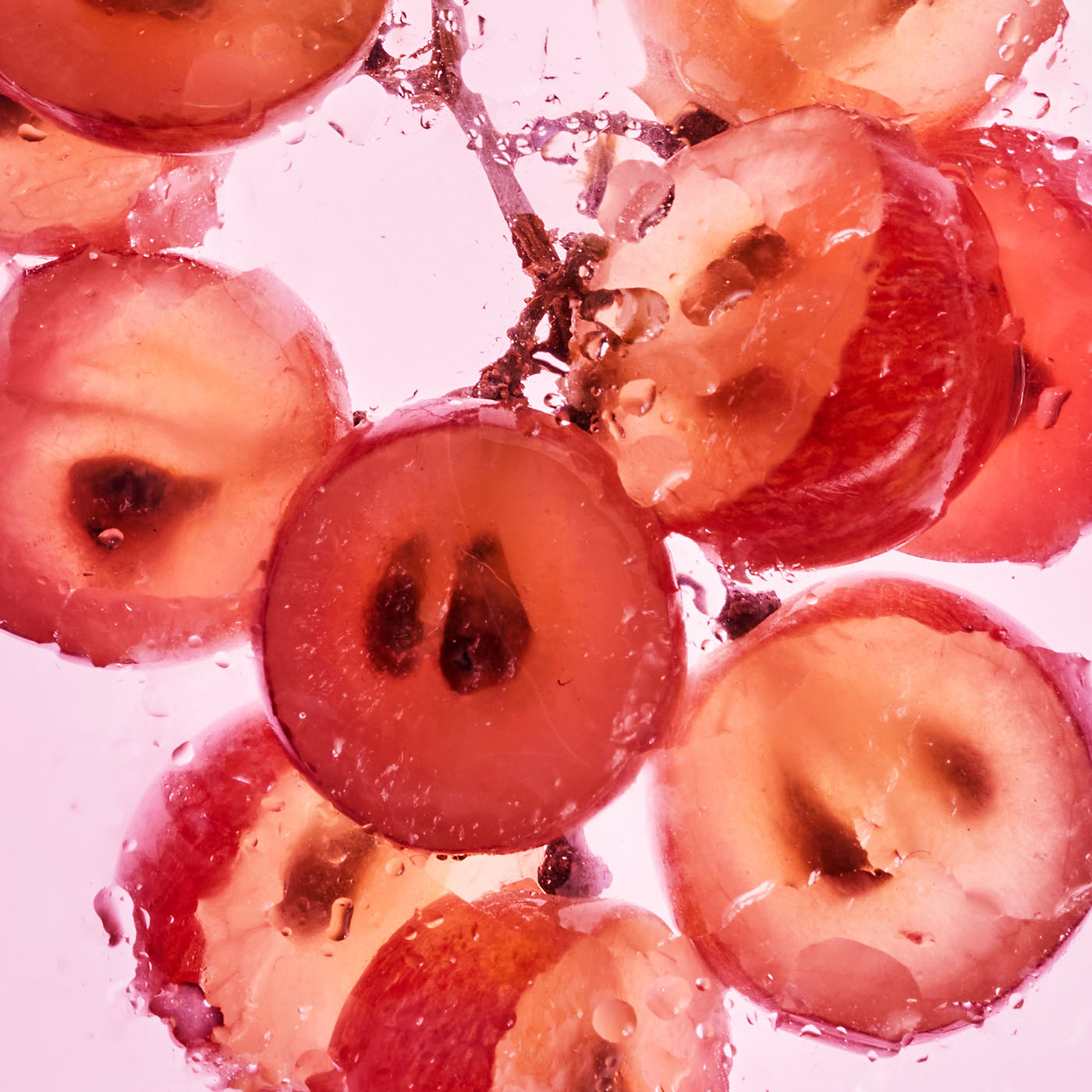 Olivia Quido Skincare Body BB Glow Key Ingredients Grape Seed Extract