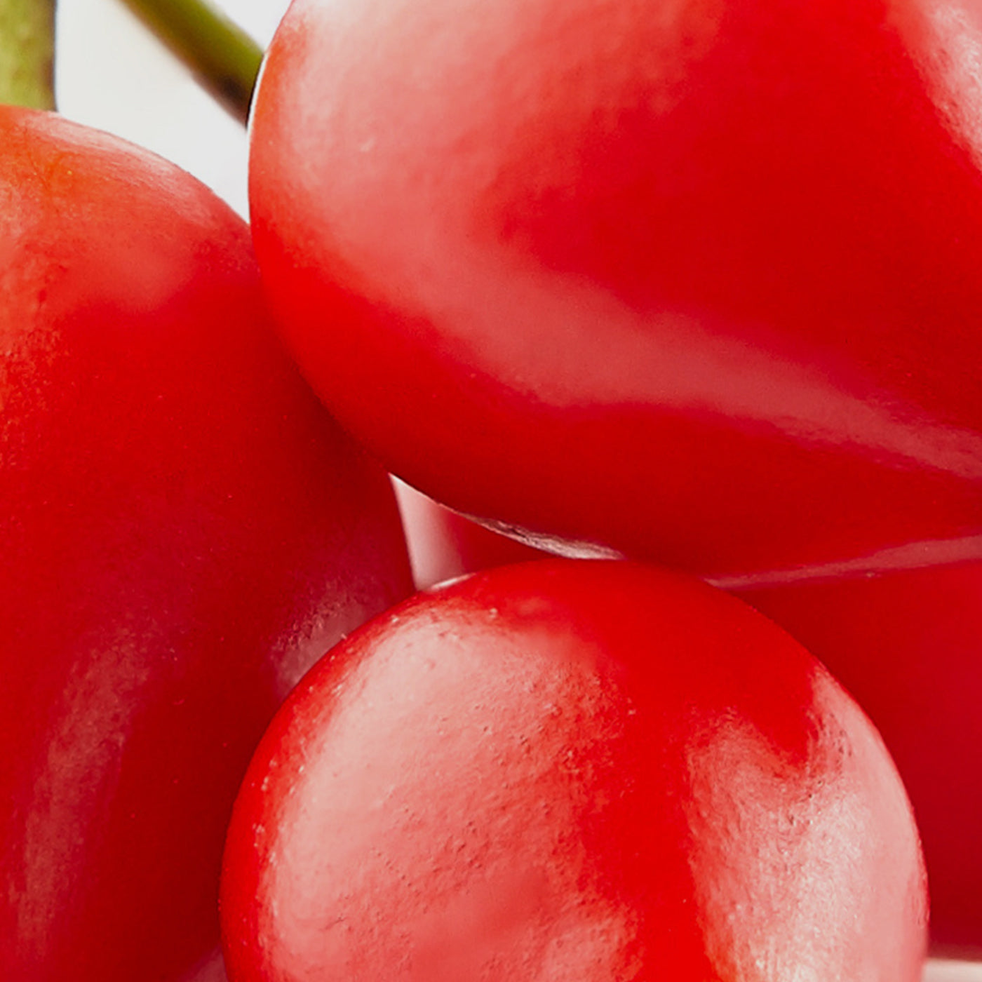 Olivia Quido Skincare, Cleansing Milk, Key Ingredient, Rose Hips