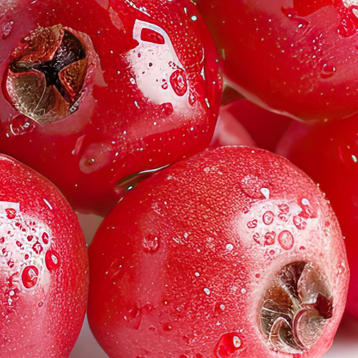 Olivia Quido Skincare Secret Glow Overnight Mask Key Ingredients Alpha-Arbutin