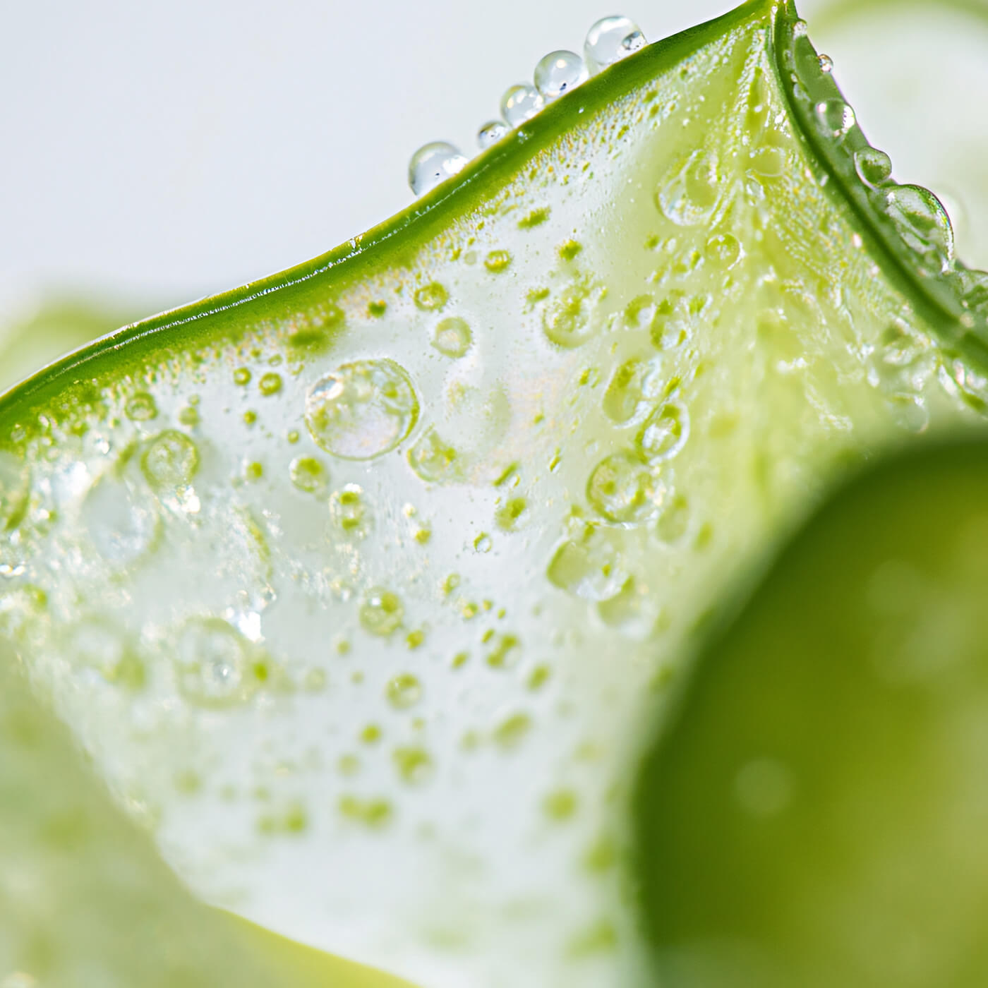 Olivia Quido Skincare Secret Radiance Night Brightening Cream, Aloe Leaf Juice Key Ingredient