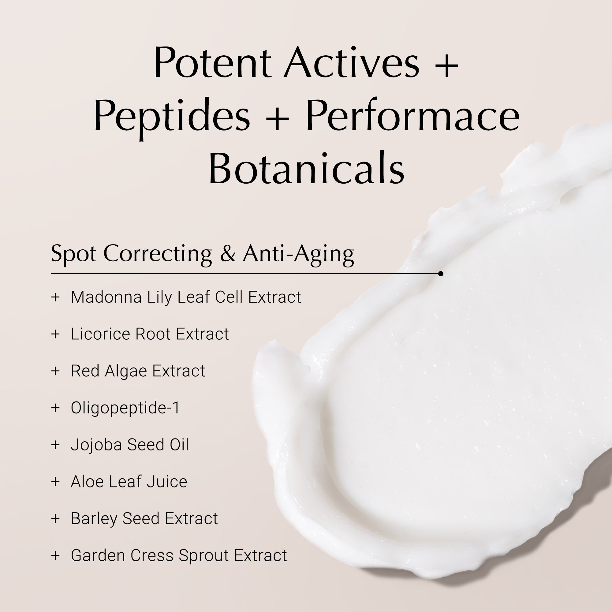 Olivia Quido Secret Radiance Night Brightening Cream Formula