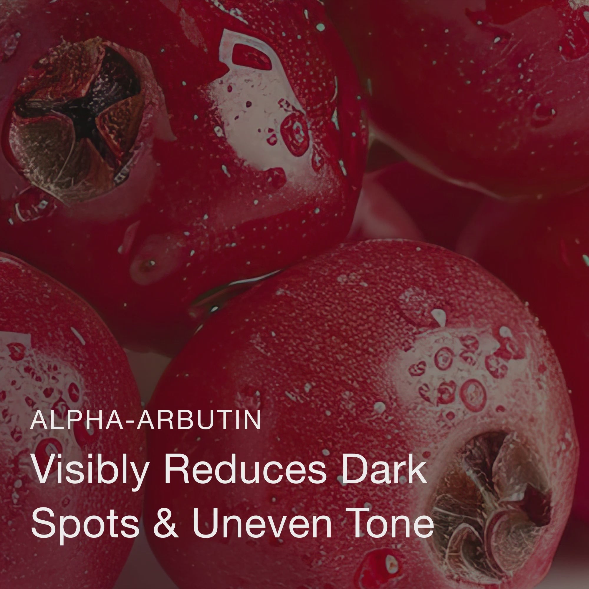 Olivia Quido Skincare Secret Glow Overnight Mask Key Ingredients