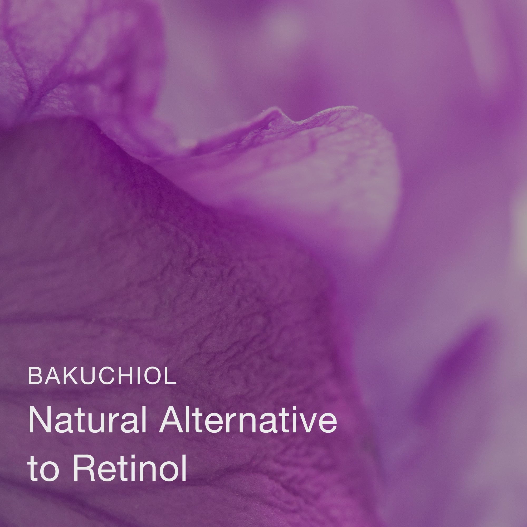 Olivia Quido Skincare Beauty Oil Key Ingredient Video