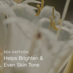 Olivia Quido Skincare Cleansing Milk Key Ingredient Video