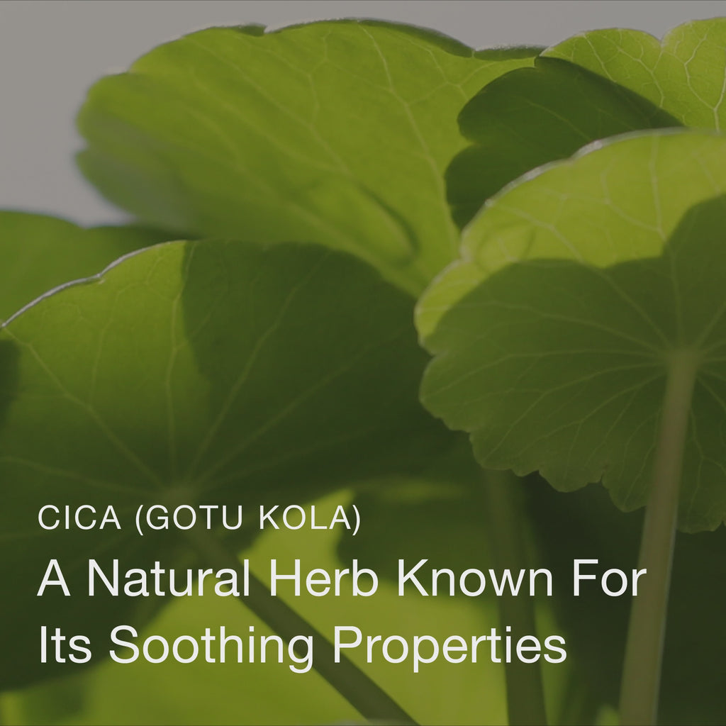 Olivia Quido Skincare Niacinamide Serum 10% Key Ingredients