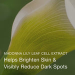 Olivia Quido Secret Radiance Night Brightening Cream Key Ingredient Video